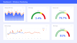 Apica Dashboard & Data Preview