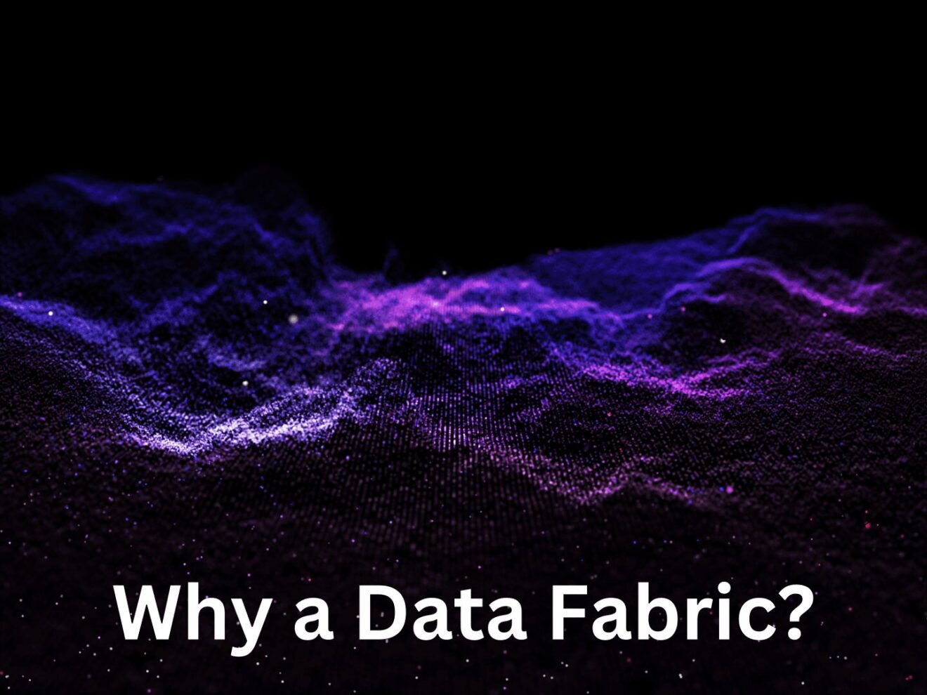 Why a Data Fabric