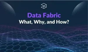 Data Fabric