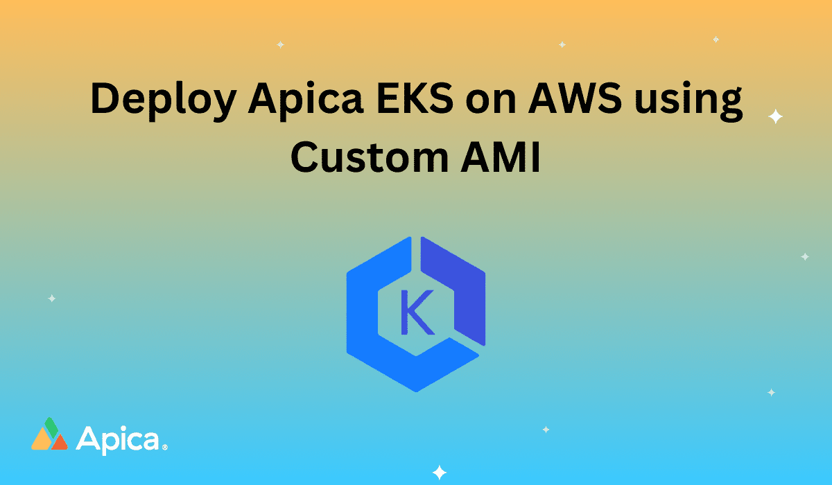 Deploy Apica EKS on AWS using Custom AMI
