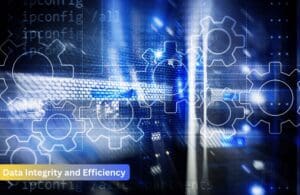 Data Integrity and Efficiency​