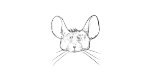Chris Chinchilla